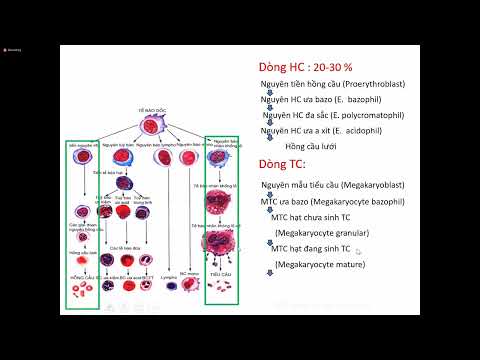 Video Đặc điểm sự tạo máu và máu ngoại vi ở trẻ em - youtube