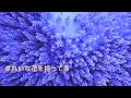 BOXX feat.Non/『Nijigumo』(You Tube Ver.)