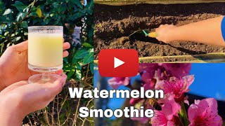 Honeydew Melon Smoothie - Fresh & Healthy