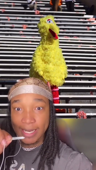 Big Bird Gets caught kidnapping in 4K