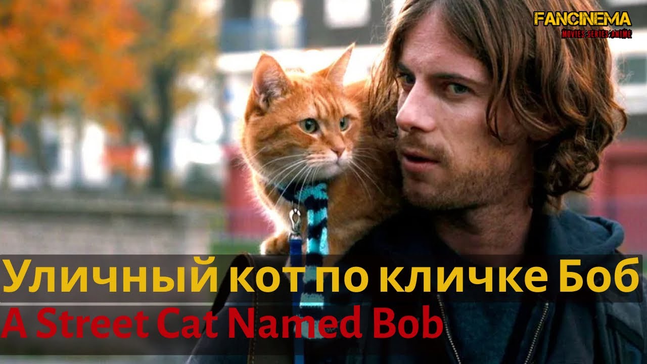 Трейлер фильма «Уличный кот по кличке Боб» / «A Street Cat Named Bob» YouTube Трейлер фильма «Уличный кот по кличке Боб» / «A Street Cat Named Bob» YouTube