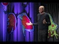 Michael pollan  psychedelics and how to change your mind  bioneers