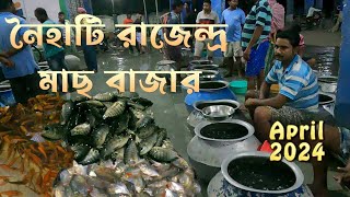 নৈহাটি রাজেন্দ্র মাছের বাজার || Kolkata fish market || Naihati rajendrapur fish market