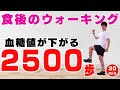 2500歩歩ける!【血糖値が下がる】足踏みと有酸素運動でダイエット!ストレッチ付き【食後のウォーキング30分】