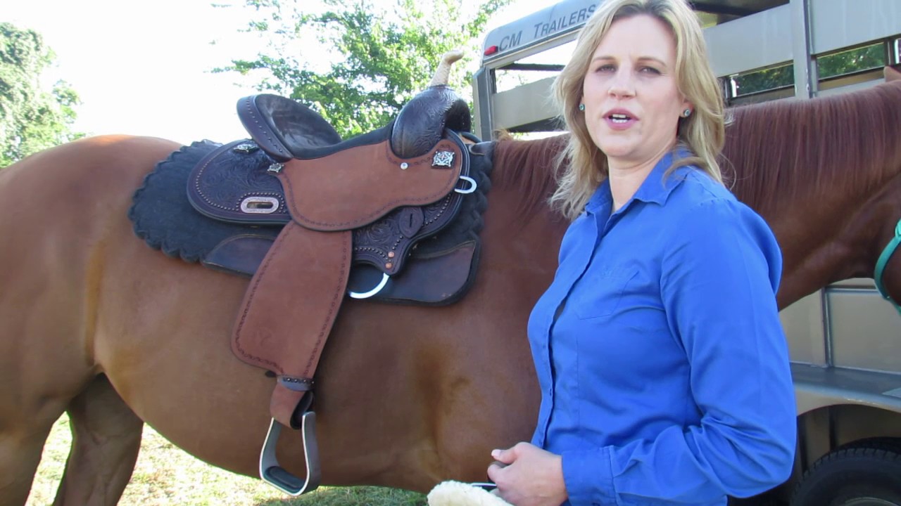 Proper Use of Off Billet and Half Breed with Circle Y Saddles | Reinsman Equestrian