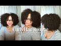 CURLY HAIR ROUTINE 3c/4a| Long lasting Curls, Stretch Method ft #mielleorganics