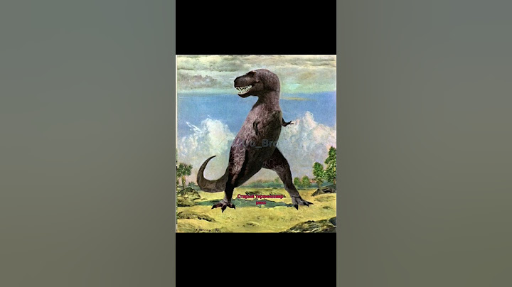Тираннозавр Рекс и старый вид /динозавры /dinosaurs