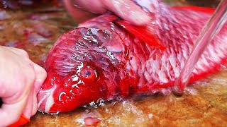 Japanese Street Food - RED BEAKFISH Sushi Fried Seafood Soup Okinawa Japan