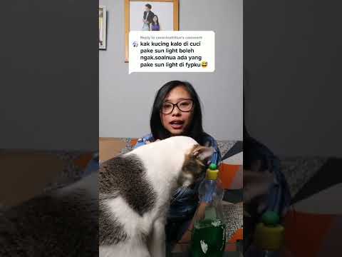 Video: Kucing Tidak Bisa Menggunakan Kaki Punggungnya? Ini adalah Darurat Medis