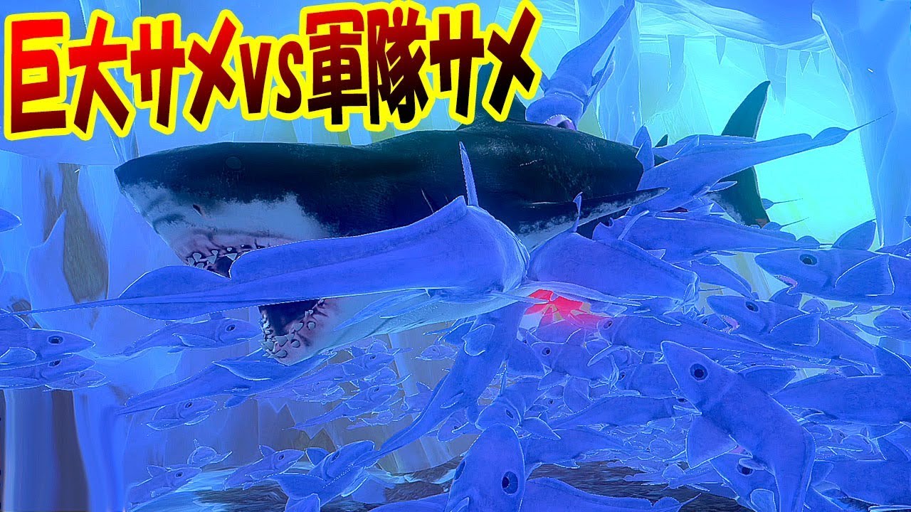 軍隊ザメ Vs 巨大ザメ ちびサメの大群でサメ地獄を作ったらマジでヤバかった サメの海で弱肉強食の壮絶バトル Feed And Grow Fish 114 Youtube