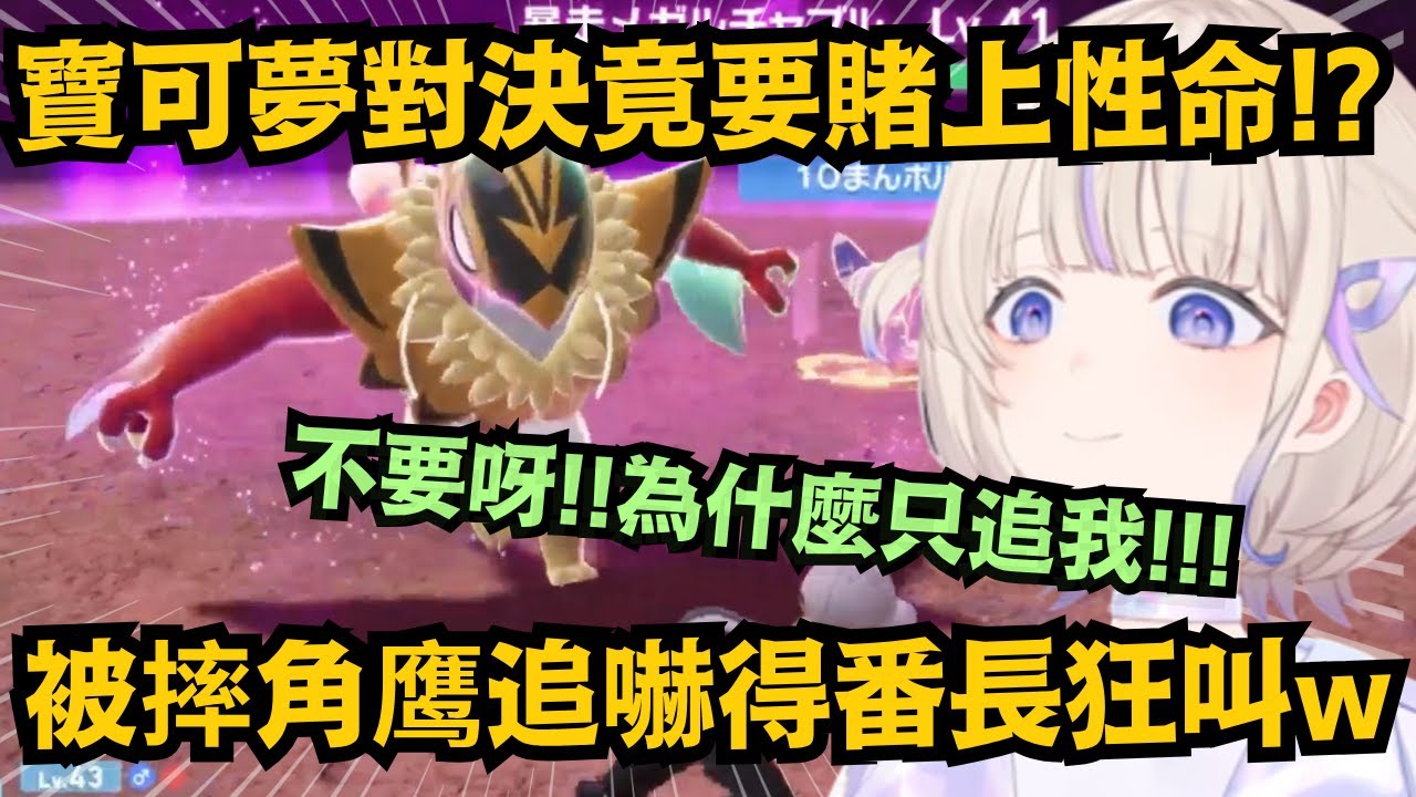 不講武德!寶可夢竟直接攻擊訓練家!?番長被摔角鷹追得頻頻發出可愛叫聲ww【轟はじめ】【hololive中文/翻譯/精華】