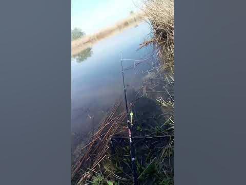 Сижу на рыбалке - YouTube