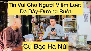 113# Bạc Hà Núi Cô Di Báo Tin Vui Cho Người Bị Viêm lo/ét Dạ Dày-Đ/ường Ruột Yếu.
