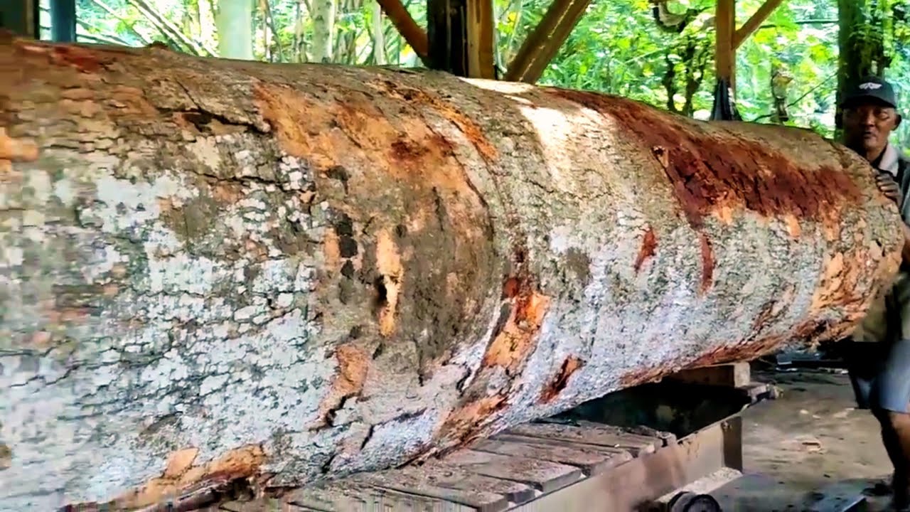The world's largest wood sawing process is worth a fantastic amount ...