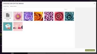 How To Create A Locked Opt In Form With Bloom