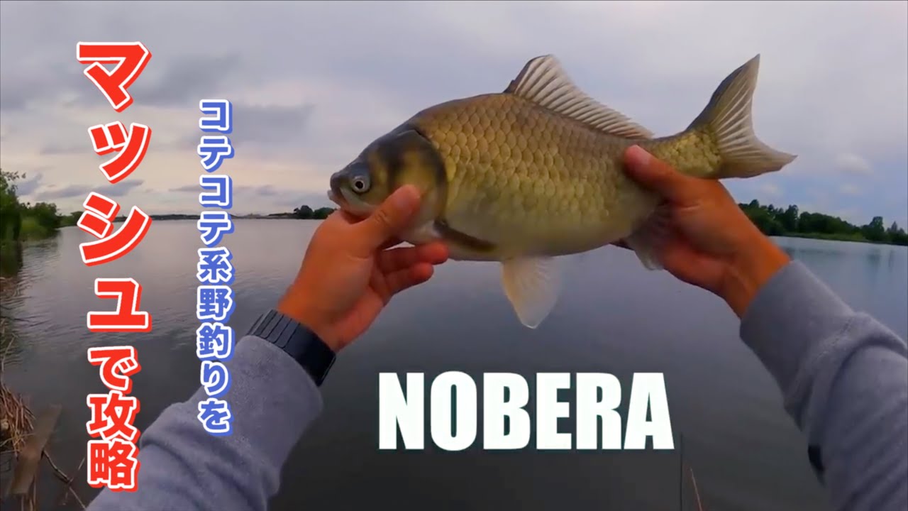 川にマッシュをブチ込んでブリブリのヘラちゃん釣るのが私の人生【小貝川 茨城県】