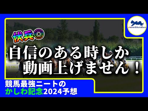 【かしわ記念　2024　予想】自信のある時にしか動画を上げないニート、かしわ記念で動画を出す！#ニート #競馬予想 #パドック #かしわ記念 #かしわ記念2024 #ペプチドナイル #g1