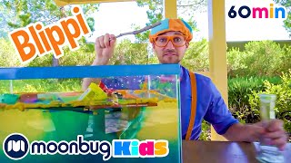 Sink or Float? V3 | Moonbug Kids TV Shows - Full Episodes | Cartoons For Kids