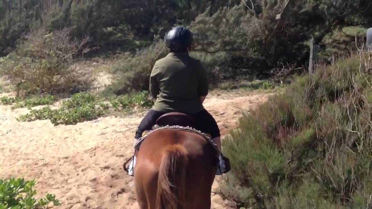 Horseback riding at Turtle Bay resort Hawaii YouTube