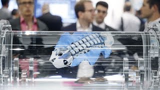 Festo @ Achema: Impressions 2018