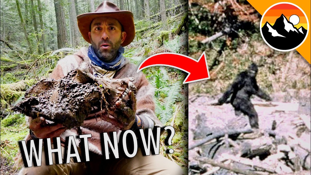 What Do We Know About Bigfoot?