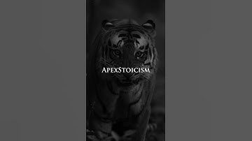 It’s ALL mindset… #apexstoicism