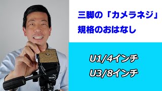 【三脚のネジ】ハイエンド雲台は太ネジまで装備！（動画No.888）