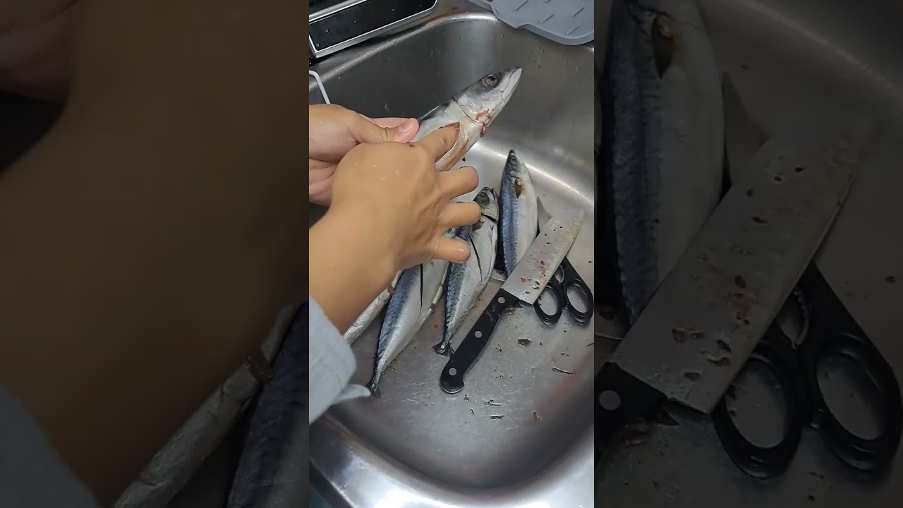 trick to clean fish | mackerel #canada #fish #cooking #food auf YouTube ansehen trick to clean fish | mackerel #canada #fish #cooking #food auf YouTube ansehen