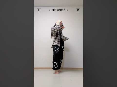 Mirrored Stray Kids Chk Chk Boom Kpop Dance Tutorial 