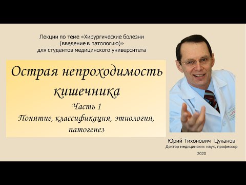 Острая непроходимость кишечника, часть 1. Лекция для студентов медуниверситетов