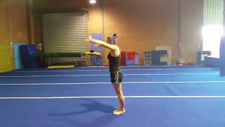 WAG Interclub Level 2 with bridge