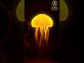 Khubsurat Night Lamp 😍 | Jellyfish Lamp🏮