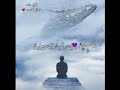 لا اله الا انت سبحانك اني كنت من الظالمين 😢 أروآح تائهة بـ القرآن أهتدت حالات واتس دينية