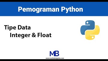 Belajar Python, Bagaimana Integer dan  Float yang seharusnya??? di dalam Python