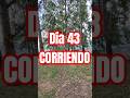 Día 43 corriendo todos los días 🏃‍♂️ #run #dailyrun #running #correr #corredor #corriendo #stayhard