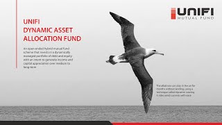 Unifi Dynamic Asset Allocation Fund | Fund Strategy by CIO Saravanan
