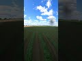 Crop Inspection Season!! #farming #farmer #pilot #aviation #freedom #flying #travel #america #trend