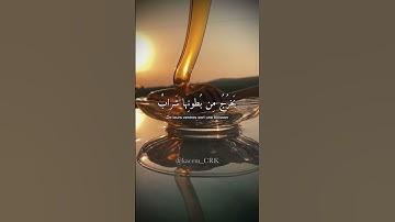 وَأَوحى رَبُّكَ إِلَى النَّحلِ #ادريس_ابكر #قرآن #تلاوة_خاشعة #اسلام #coran #quran #idrissabkar
