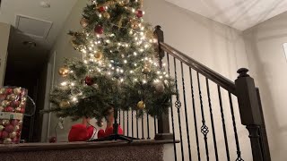 Vlogmas Day 5 | Short vid | Christmas Tree Decorating