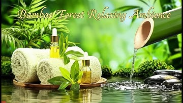 Relaxing Music to Relieve Stress, Anxiety and Depression 🌿 Heals The Mind, Body and Soul