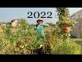 2022 Garden Season Recap