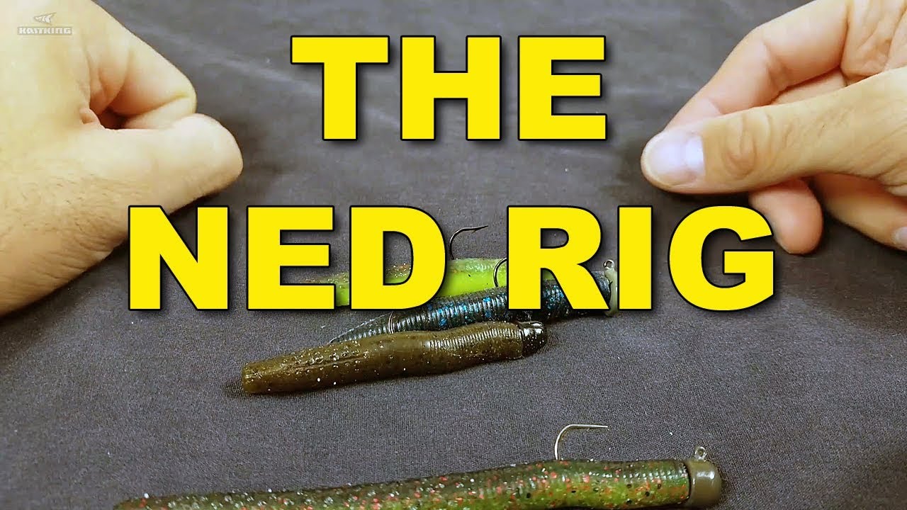 The Ned Rig: Proven Tactics You Need To Know, Video