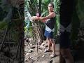 #shortvideo #goodvibes #youtubeshorts #youtubevideo #youtube