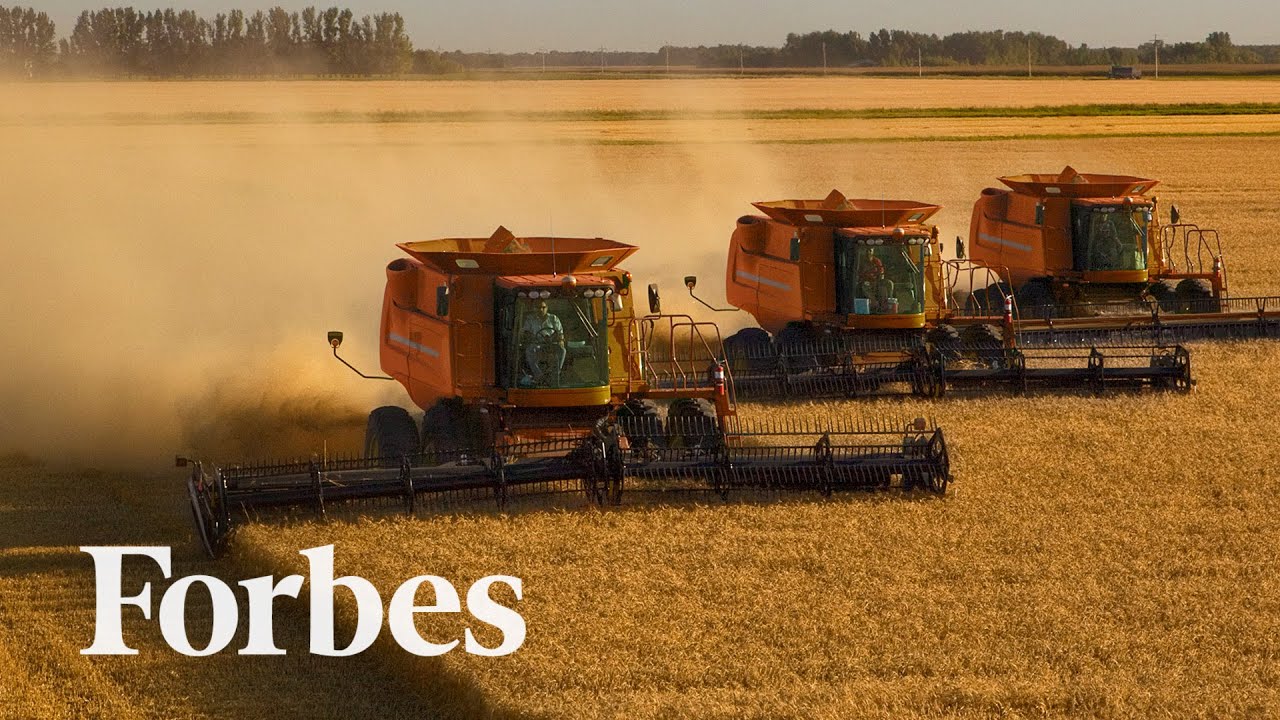 Making Bets On Corn, Sugar And Wheat With A Crop Futures ETF Forbes