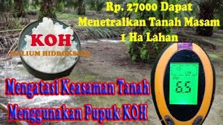 Mengatasi Keasaman Tanah Pertanian dengan KOH Kalium Hidroksida