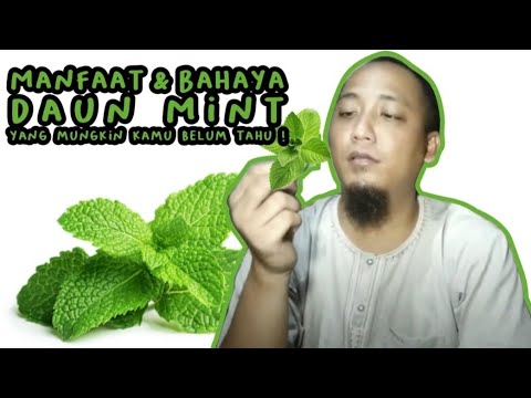 Manfaat dan bahaya Daun Mint yg mungkin kamu belum tahu