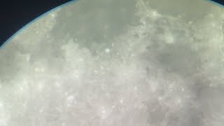 Tonight’s Moon!