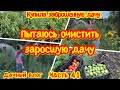 КУПИЛА ЗАБРОШЕННУЮ ДАЧУ#41|СПАСАЮ СВОЙ ЗАРОСШИЙ ОГОРОД/ВСЕ ЗАРОСЛО СОРНЯКАМИ/ДАЧА/СОБИРАЮ УРОЖАЙ