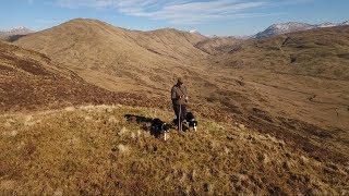 Scotland's farms from the sky I This Farming Life