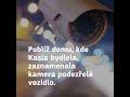 Policie ČR: Nalezení holčičky